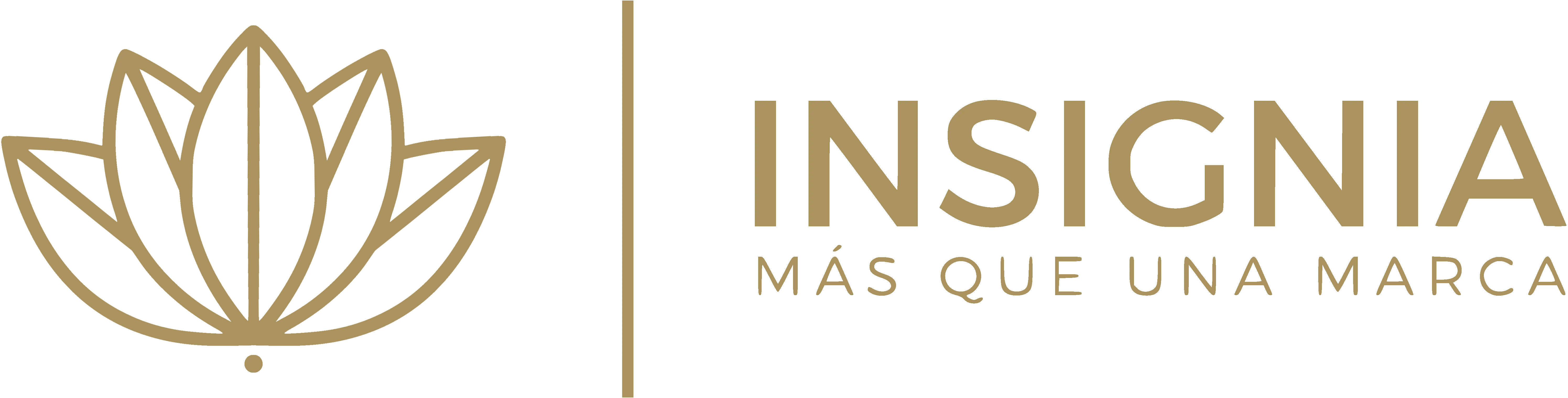 Soy Insignia