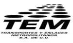 TEM